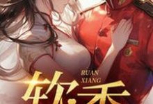 不是大哥，你兜这大一圈就为娶我（宋翊）最新章节在线阅读-火箭文学