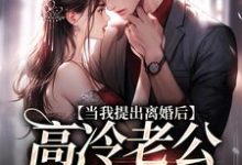 当我提出离婚后,高冷老公哭红了眼免费阅读,詹挽月况承止大结局无弹窗-火箭文学