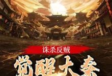 诛杀反贼，觉醒大秦千年气运无弹窗嬴启最新章节列表-火箭文学