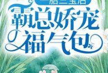 陆北城江如意在线阅读,一胎三宝后,霸总娇宠福气包小说完结版章节-火箭文学