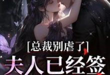 求助这本总裁别虐了，夫人已经签了离婚书小说在哪里可以看完结版-火箭文学