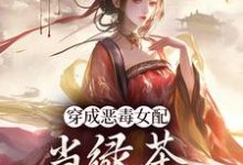 胡说,她才不是坏女人!大结局,乔挽颜小说无广告阅读-火箭文学
