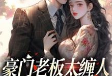 求助这本豪门老板太缠人，为她折腰为她疯小说在哪里可以看完结版-火箭文学