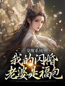觉醒系统，我的闪婚老婆是福包小说资源求分享，觉醒系统，我的闪婚老婆是福包叶孤江怜儿在线阅读
