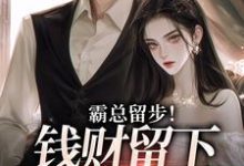 求助这本霸总留步！钱财留下爱带走小说在哪里可以看完结版-火箭文学