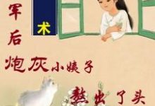 姐随军后，炮灰小姨子熬出了头小说最新章节在哪里可以免费看-火箭文学