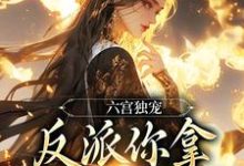 小说六宫独宠,反派你拿什么和我斗(谢淑华)最新章节在哪看-火箭文学