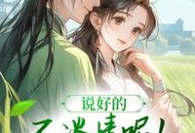 风潇潇陆舟渊在线阅读,说好的不谈情呢!王爷请自制小说完结版章节-火箭文学