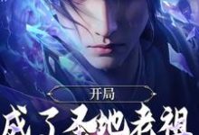 开局成了圣地老祖，我走废材流在线看，林凡小说大结局在哪免费看-火箭文学
