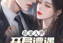 狂龙入世，开局遭遇绝色未婚妻（苏逸沈清月）完结版免费阅读-火箭文学