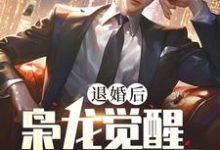 跪求主角是楚风甄姬的小说书名叫什么-火箭文学