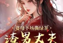 杜英箫牧尧在线阅读,婆母下场撕绿茶,渣男丈夫被赶出家小说完结版章节-火箭文学
