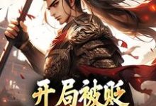开局被贬，我要掠夺江山（主角赵惊鸿嬴政）完结版免费阅读-火箭文学
