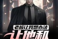 老板让我想办法,让他和老婆离婚热门小说(秦羽)在线阅读无弹窗-火箭文学
