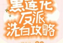 快穿：黑莲花反派洗白攻略免费阅读，容羡大结局无弹窗-火箭文学