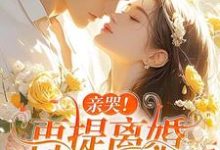 亲哭!再提离婚,霍总彻底失控了热门小说(苏暖霍云琛)在线阅读无弹窗-火箭文学