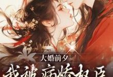裴砚忱姜映晚在线阅读,大婚前夕,我被病娇权臣强取豪夺了小说完结版章节-火箭文学