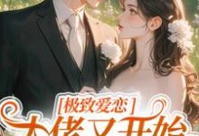 季染傅京渊最新章节列表极致爱恋，大佬又开始攻心了免费阅读-火箭文学