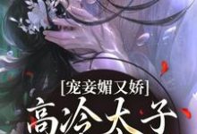 宠妾媚又娇,高冷太子为她失了魂免费阅读(宁宁萧璲)小说免费读最新章节-火箭文学