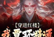 穿进红楼，我贾环精通朝堂争斗（贾环）最新章节免费阅读-火箭文学