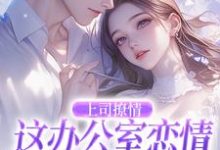上司撩情，这办公室恋情我谈定了免费阅读(霍南霆林朝朝)小说免费读最新章节-火箭文学