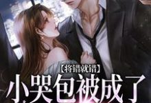 将错就错：小哭包被成了大佬心尖宠精彩章节在线免费阅读（慕汀洲姜桃）-火箭文学