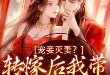 宠妾灭妻？转嫁后我带皇子夺王位（魏芷殊）最新章节在线阅读-火箭文学