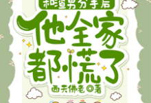 和渣男分手后，他全家都慌了在线看，秦昭温书齐小说大结局在哪免费看-火箭文学