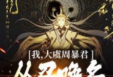 求助这本我,大虞周暴君,从召唤名将开始!小说在哪里可以看完结版-火箭文学