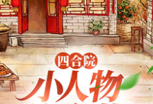 四合院：小人物许大茂完结版许大茂娄晓娥免费阅读大结局-火箭文学