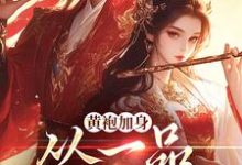 黄袍加身，从一品侯爵开始精彩章节在线免费阅读（卫小宝）-火箭文学