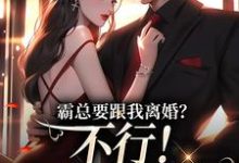 霸总要跟我离婚？不行！我身无分文小说最新章节在哪里可以免费看-火箭文学