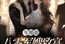 军婚甜:八零军嫂致富撩夫两不误在线看,陆宴寻姜枣小说大结局在哪免费看-火箭文学