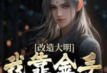 改造大明:我靠金手指夺江山大结局,朱高炽小说无广告阅读-火箭文学
