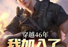 跪求主角是罗林的小说书名叫什么-火箭文学