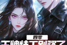 四零：王牌特工别骚了，敌军都怕了（柳龙）最新章节免费在线阅读-火箭文学