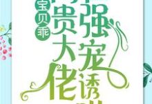 宝贝乖:高贵大佬在强宠诱哄免费阅读, 简以宁陆怀瑾大结局无弹窗-火箭文学