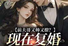 主人公是安婳肖政的小说前夫哥又帅又撩？现在复婚来得及吗免费阅读-火箭文学