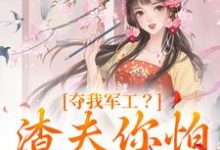 夺我军工？渣夫你怕是没命享（凌朝歌南宫阎）完结版免费阅读-火箭文学