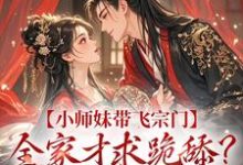小师妹带飞宗门，全家才求跪舔？晚了！免费阅读，宋染大结局无弹窗-火箭文学