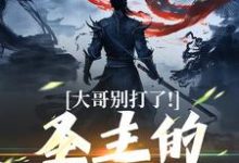 完结版大哥别打了!圣主的心都碎了在哪免费看,陈寻小说在线阅读-火箭文学