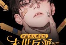 小说笨蛋美人重生成末世反派的男友后主角沈绵叶瑾修免费阅读-火箭文学