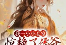 精彩章节阅读我一小小妾室,惊艳了侯爷很合理吧(叶青芷谢晋)免费小说在线看-火箭文学