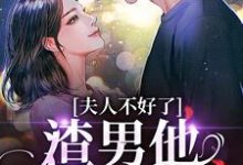 夫人不好了！渣男他要求爱（黎岁霍砚舟）最新章节在线阅读-火箭文学