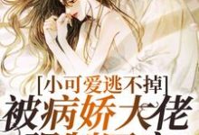 跪求主角是厉骁寒苏染的小说书名叫什么-火箭文学