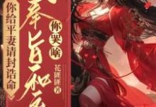 你给平妻请封诰命，我奉旨和离你哭啥？（陆知苒）最新章节免费在线阅读-火箭文学