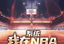 系统:我在NBA把把都超神小说最新章节在哪里可以免费看-火箭文学