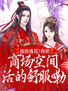 跪求主角是林书棠段砚洲的小说书名叫什么