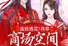 流放逃荒？我带商场空间活的舒服嘞完结版林书棠段砚洲免费阅读大结局-火箭文学