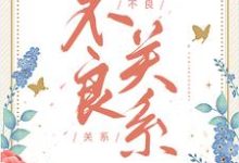 不良关系(桑胤衡南枫)完结版免费阅读-火箭文学